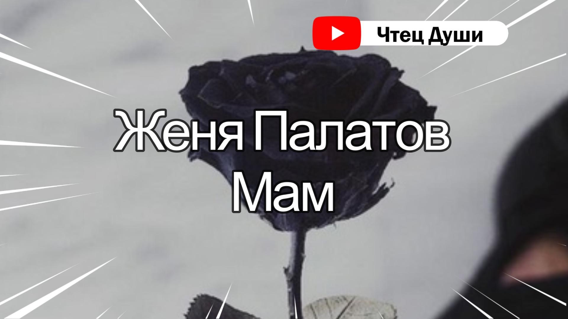 Сможешь меня понять может быть ты. Статусы про ревнивого мужа. Сможешь меня понять может быть ты. Цитаты про человека который дорог. Красивые слова.