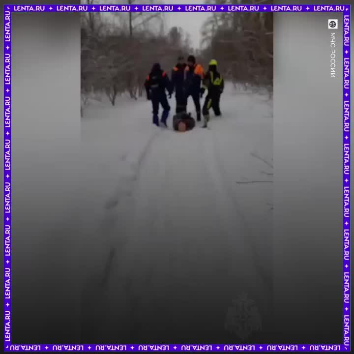 фотосессия на снегу. женщины в снегопад на улице. женщина идет по сугробам. уходящая женщина зимой. девушка в снегу.