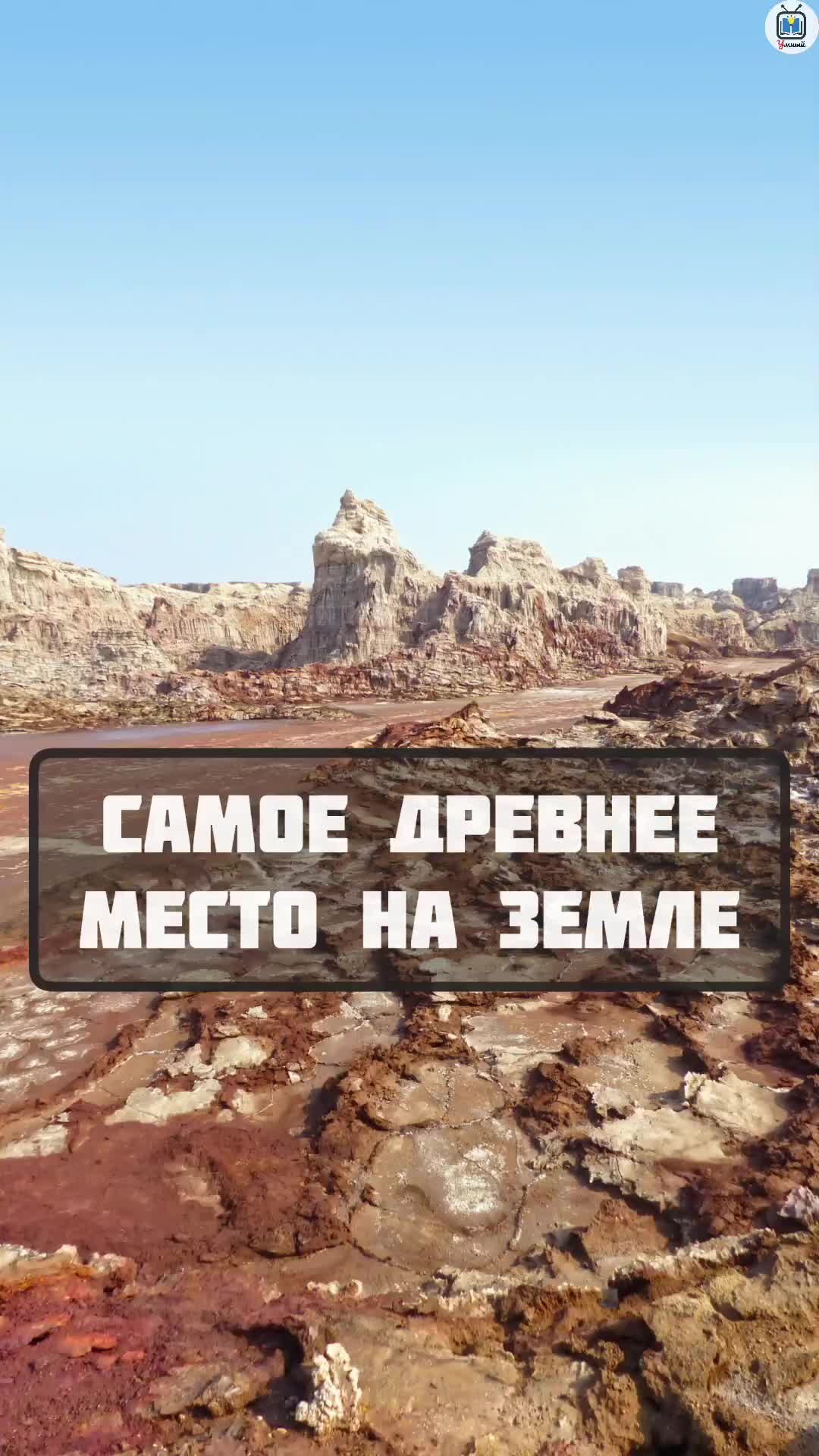 включи самое умное видео. смешной умный человек. умное лицо. игра самый умный алиса. умнейшие люди в истории.