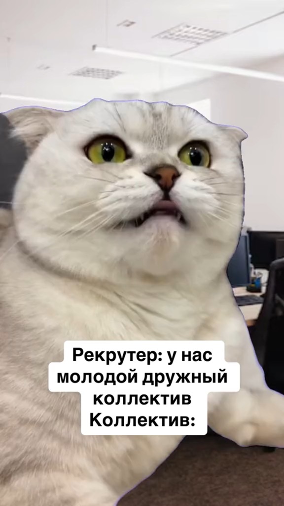 Успех в карьере женщины. Карьера работа успех. Карьера работа успех. Карьерная лестница. Успех в жизни.