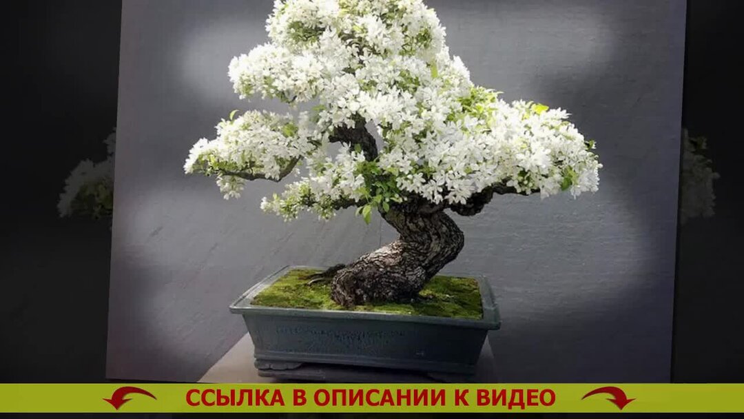 Советские плакаты. Мемы про десантников. Я уехал с родины. Кормят хорошо слава вдв. Цитаты из русских фильмов про отечество.