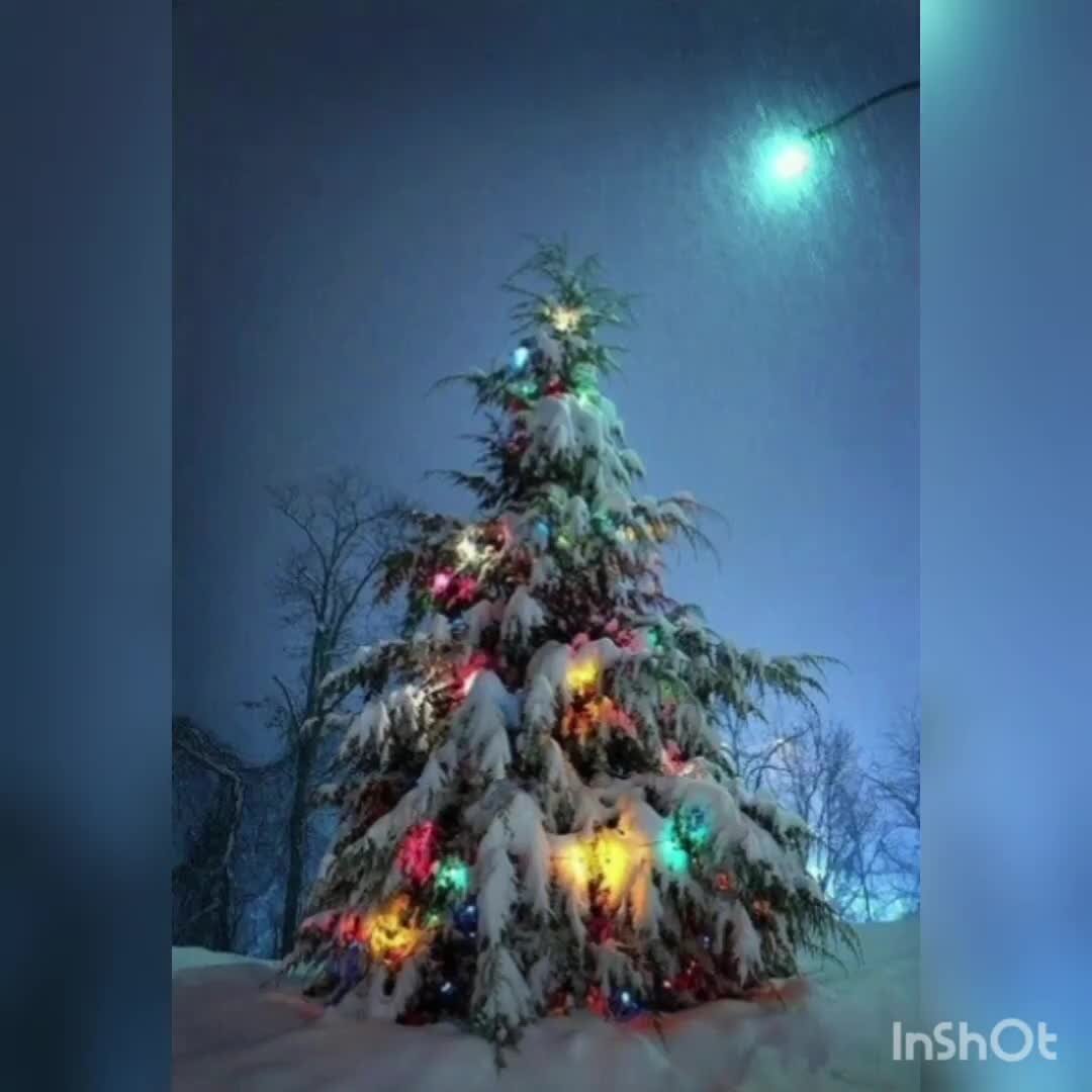 Стихи о трудностях в жизни. Высказывание о брошенных собаках. Статусы о прекрасном. Мы в этой жизни только гости стихи. Берегите друг друга любите.