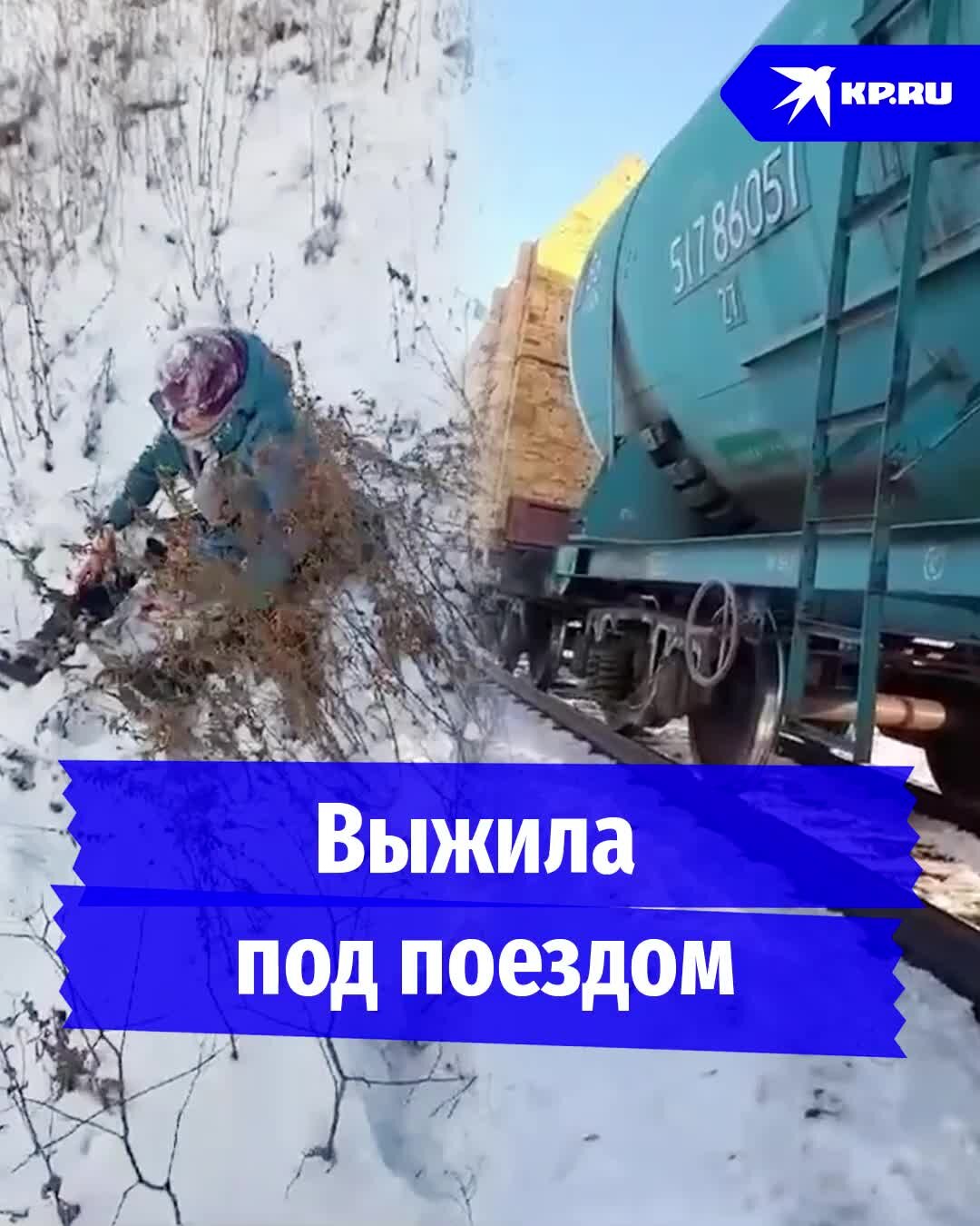 Чудо на железной дороге и спасение братьев наших меньших: лучшие видео недели