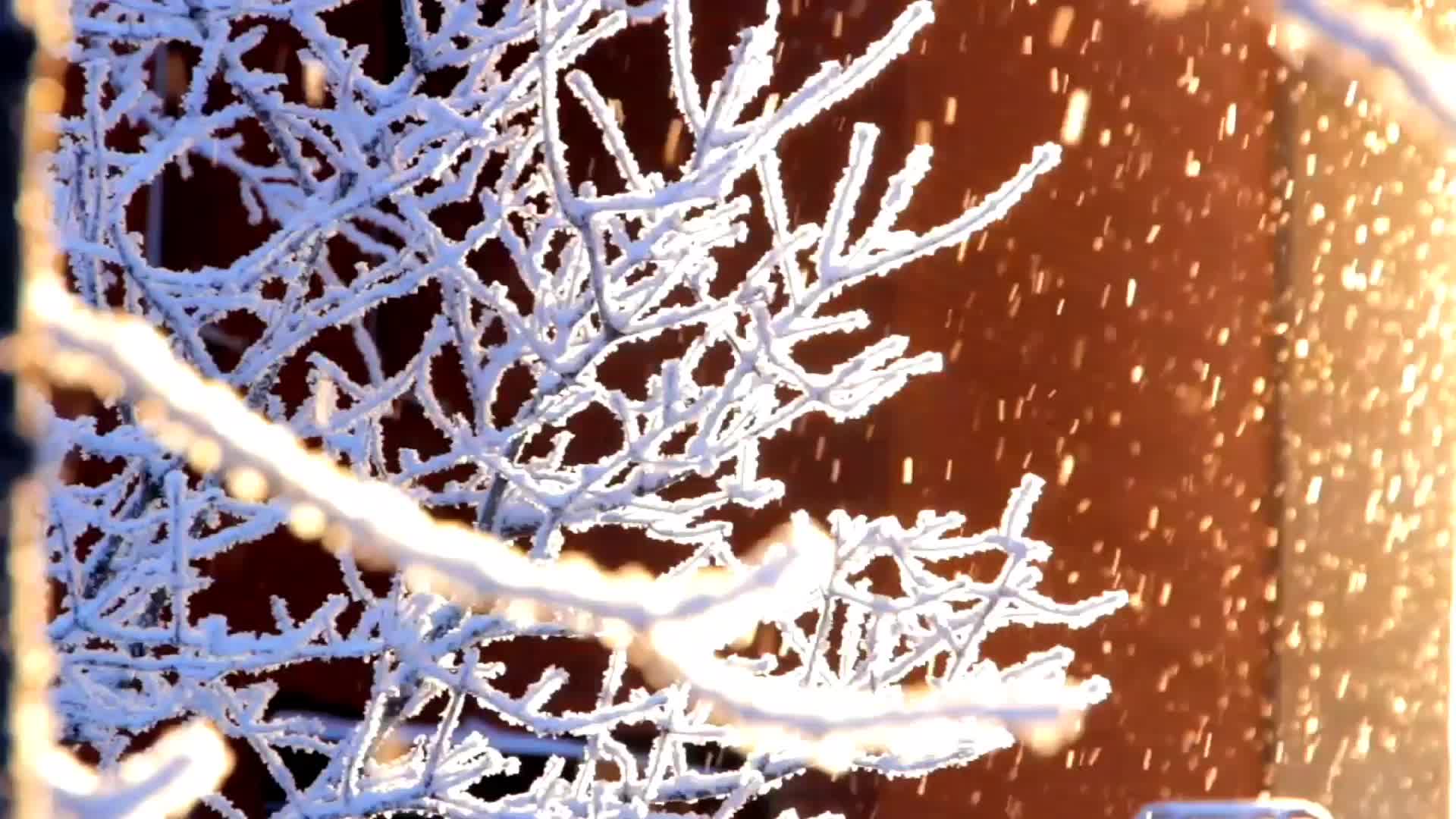 взялся за дело поговорка. какое слово тут пропущено. какое слово тут пропущено. в словах какого ряда пропущена одна и та же буква. горница или светелка.