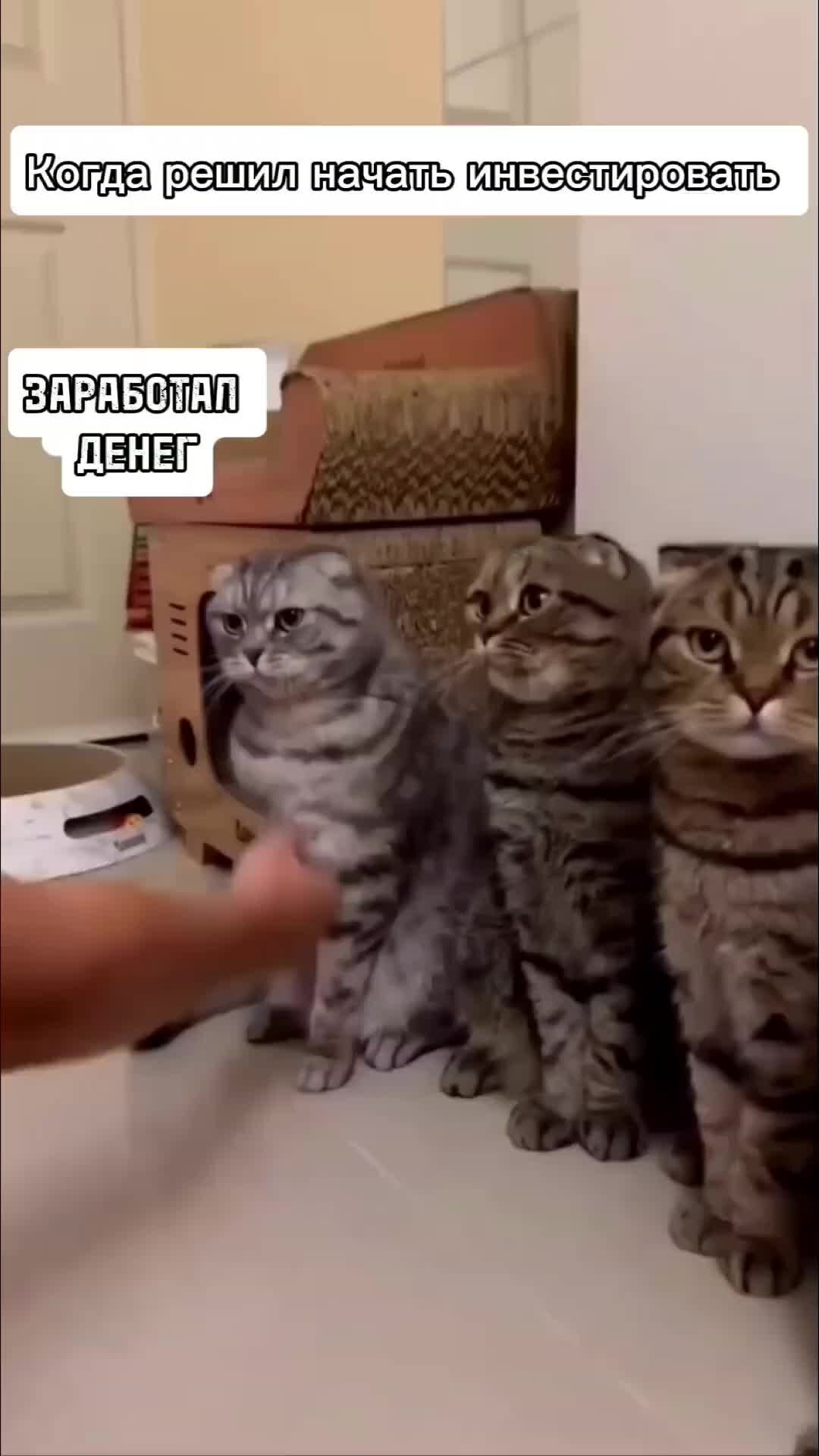 Путей и каждый отвечает. Путь к себе афоризмы высказывания. Путь души высказывания. Выбор пути. Афоризмы про неудачи.