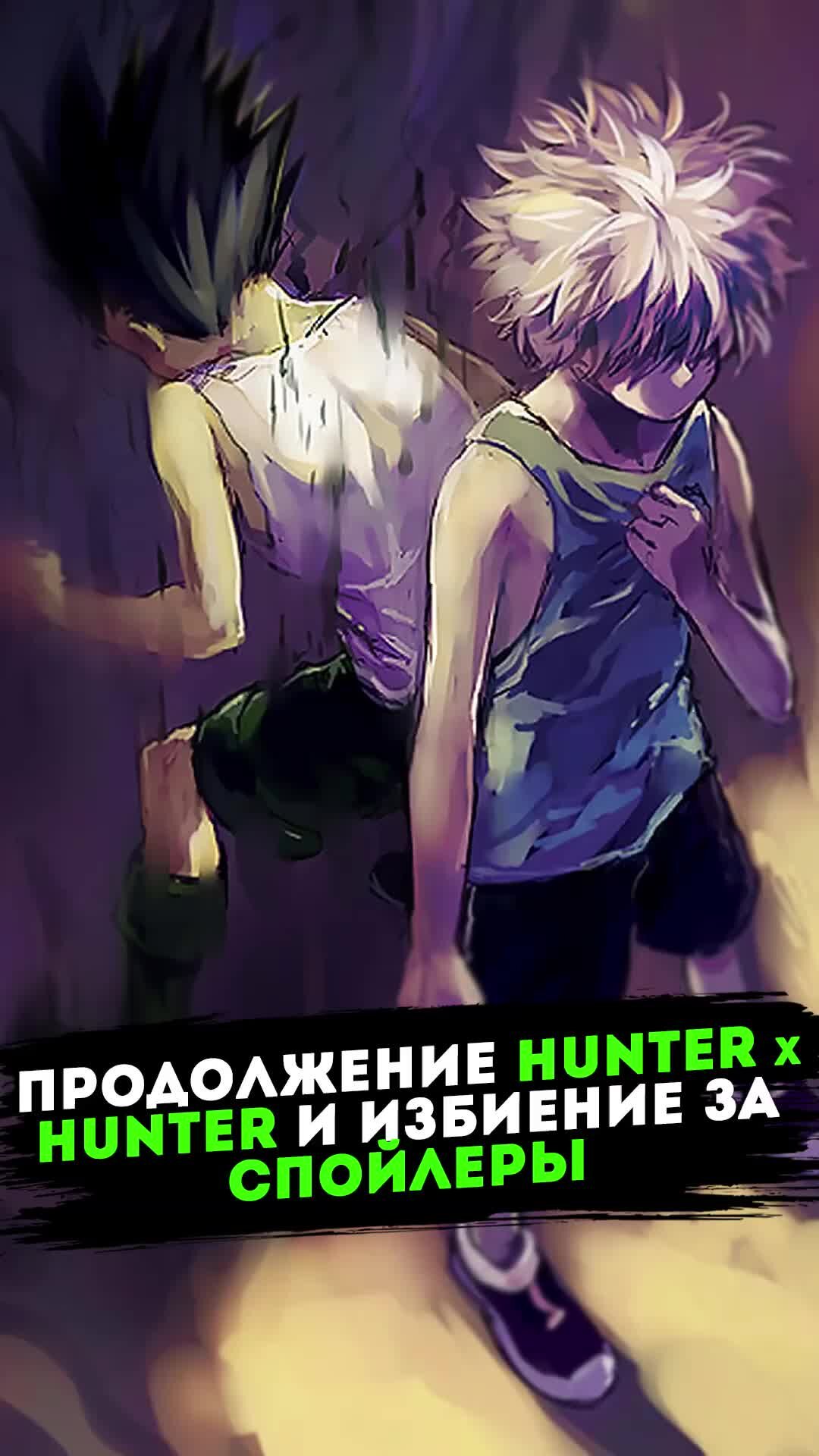 АНИСПЕНС | Продолжение hunter x hunter и избиение за спойлеры | Аниме  новости | Дзен