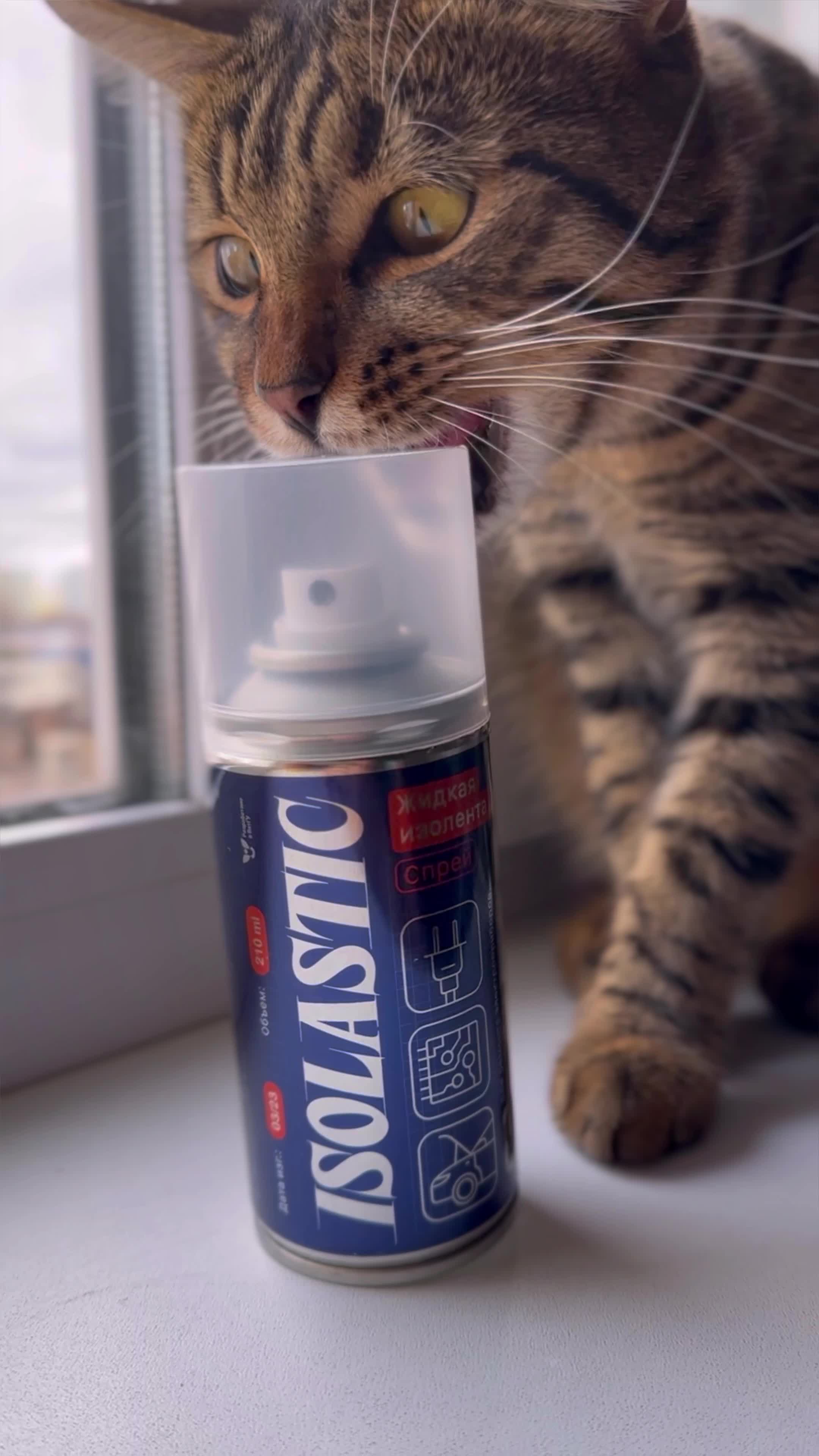 Стилистическая характеристика слова. Алгоритм управления. Классификация плазмозаменяющих растворов. Разновидности охраняемых объектов. Употребление бессоюзных сложных предложений в речи.