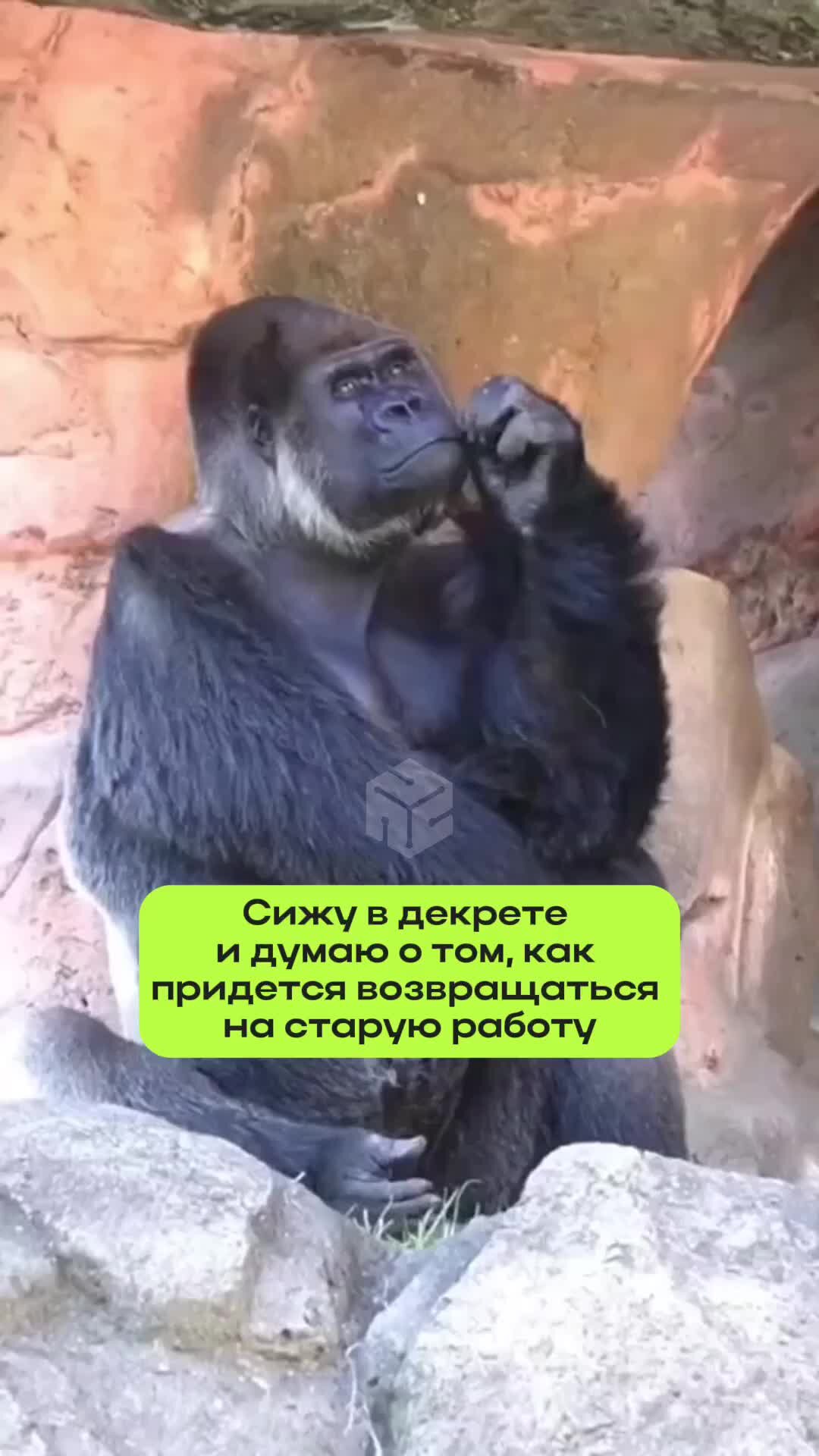 Ты сама не сможешь. Ты сама не сможешь