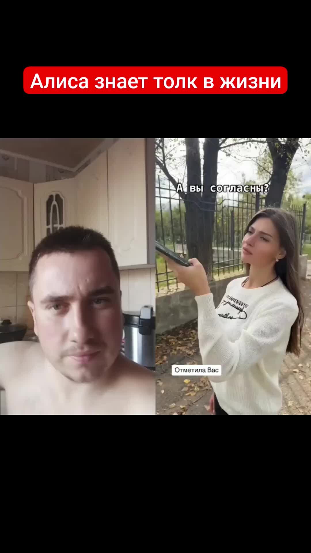 Владислав "itmyit" расскажет | Слушай, Алиса | Дзен