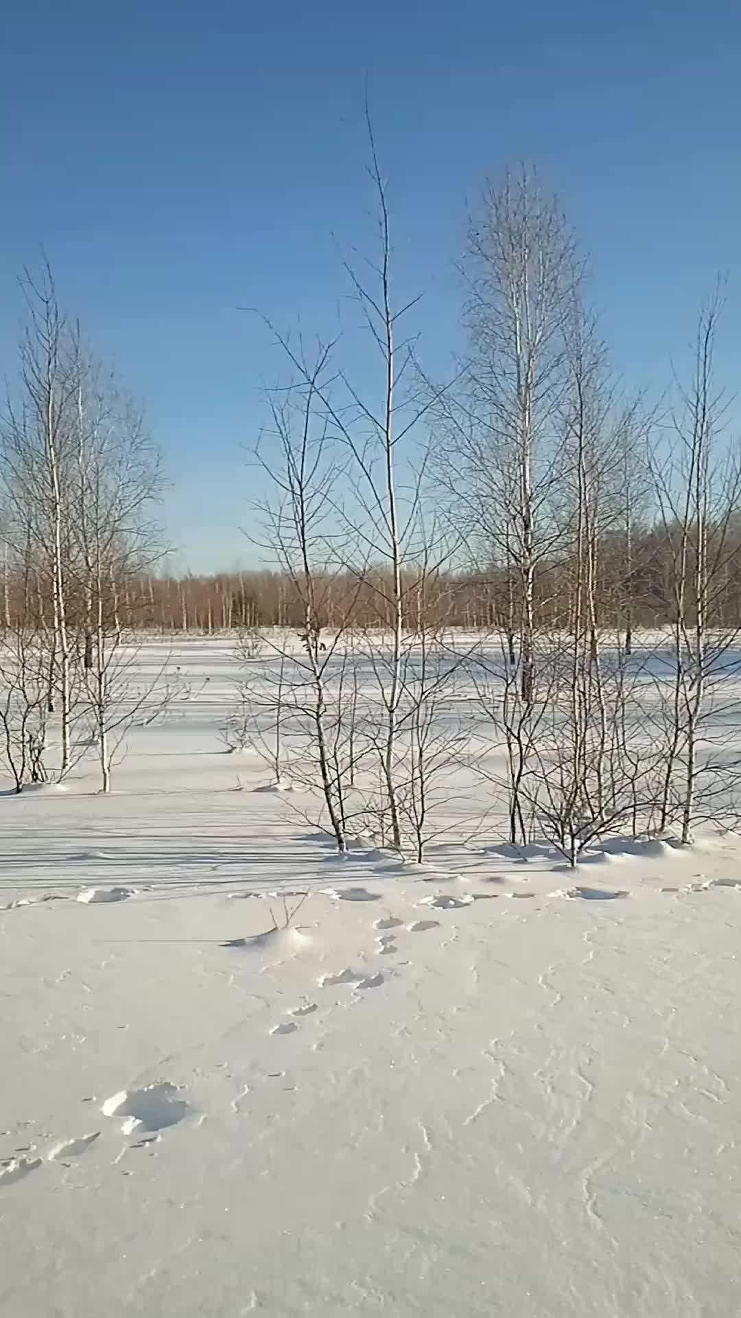 ответ тишины дзен. ответ тишины дзен. ответ тишины дзен. тишина иногда самый лучший ответ на вопросы. ответ тишины тайны.