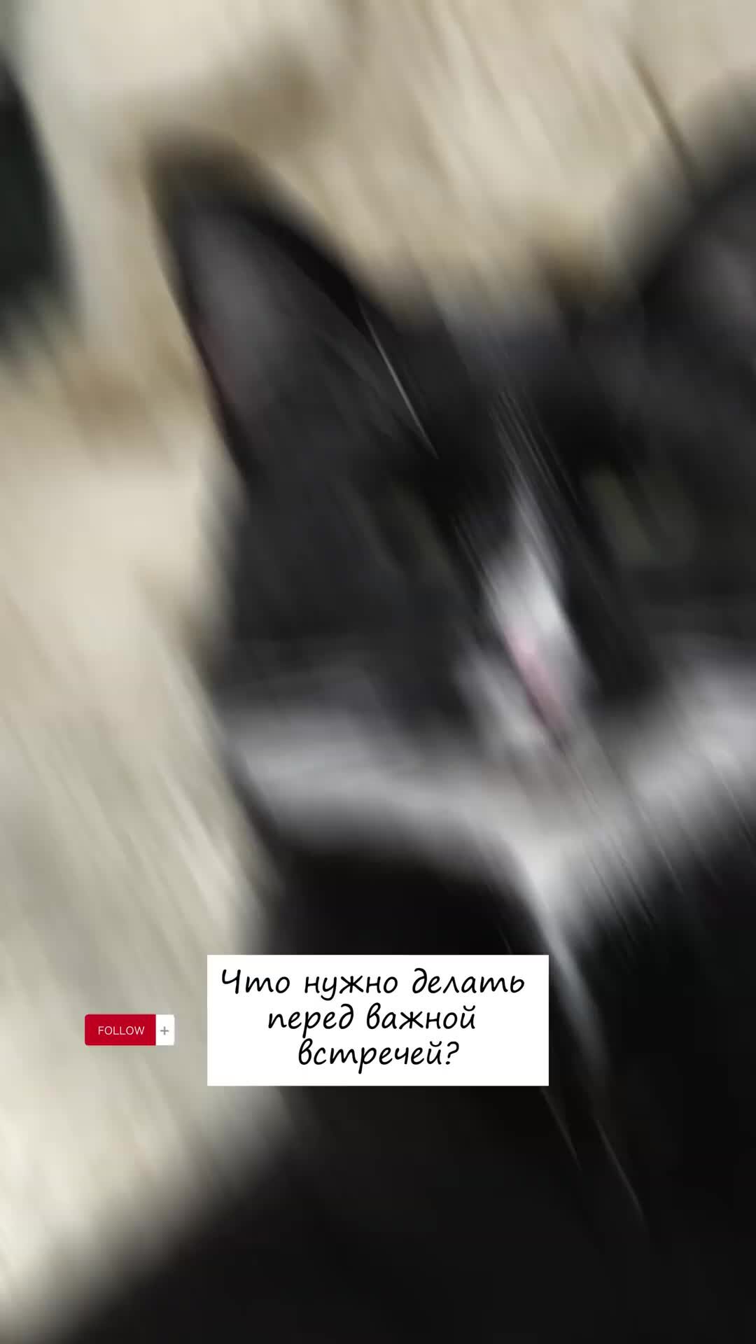 Необходимо сделать перед тем