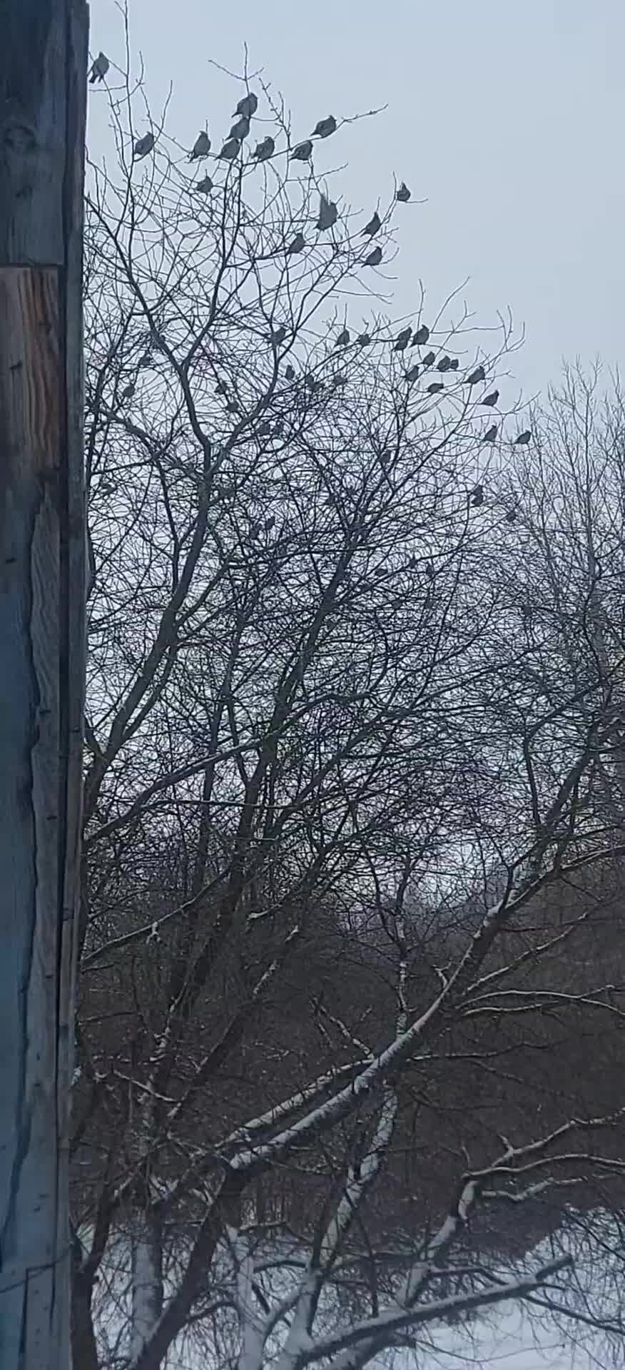 воспоминания о любимой. позитивные стихи. стих я тебя буду долго ждать. песня наверно зря. незасиживайся или не засиживайся.