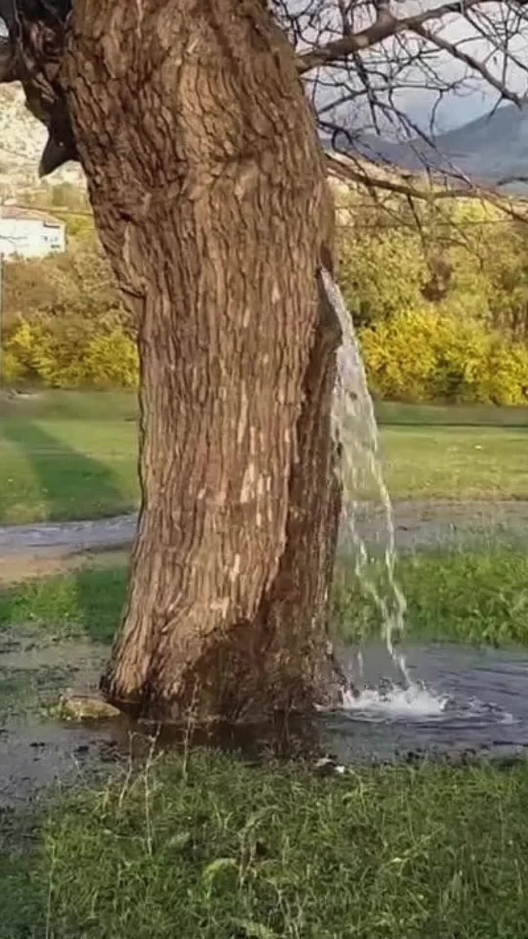 Музыка льется как вода