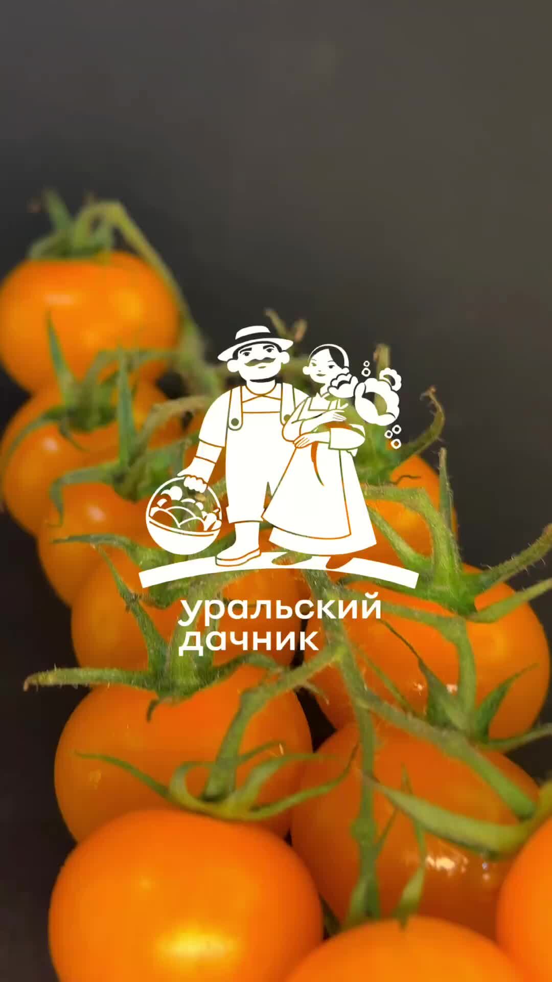 Песня была девочка золотистые косы. Песня была девочка золотистые косы. Жила была девочка поет. Жила-была девочка фильм актеры. Жила была девочка золотистые косы slow фото.