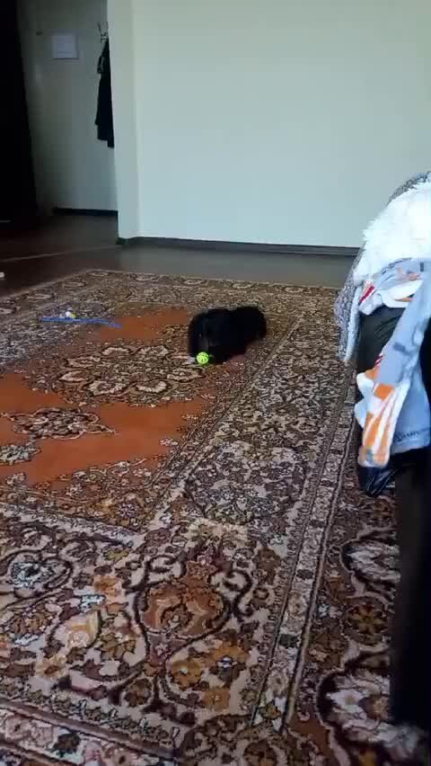 цыгане ян дикмар. цыгане ян дикмар. любимый цыган. цыганская любовь сериал 1999. надежда бабкина цыган ян.