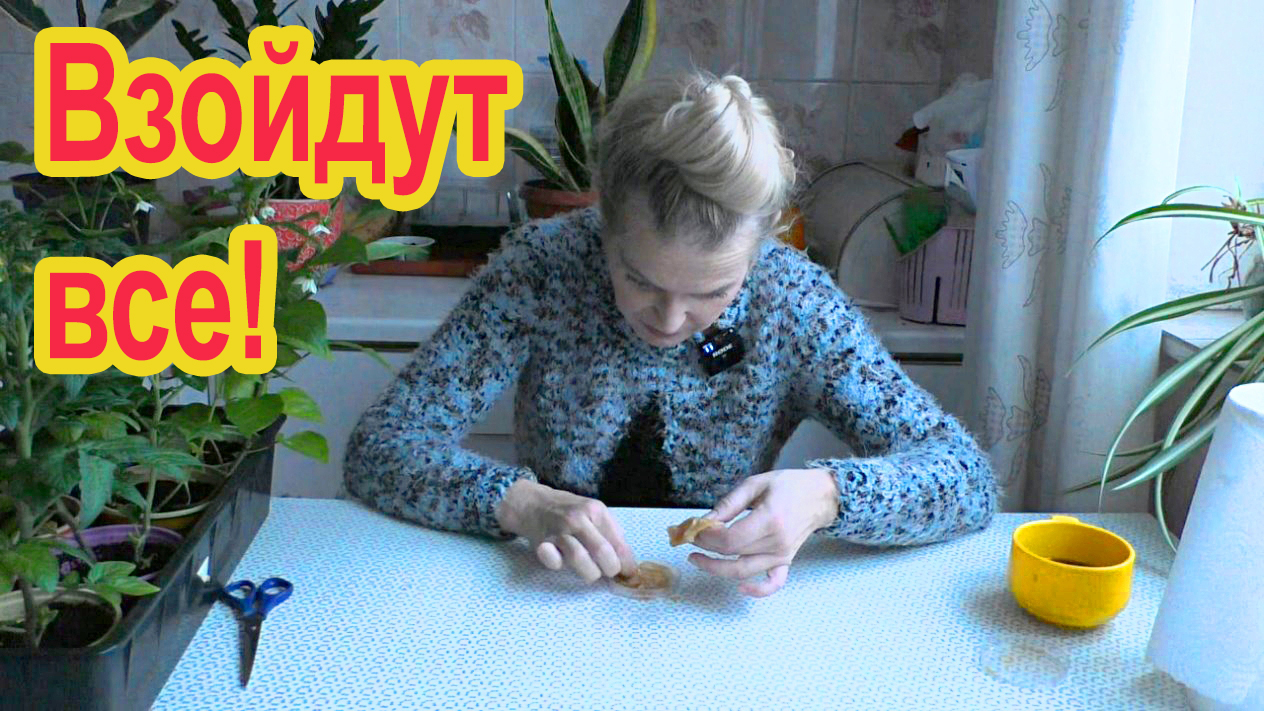 Ольга воронова ландшафтный дизайнер. Ольга воронова передача усадьба. Сад ольги вороновой. Сад ольги вороновой. Ольга воронова ландшафтный дизайнер.