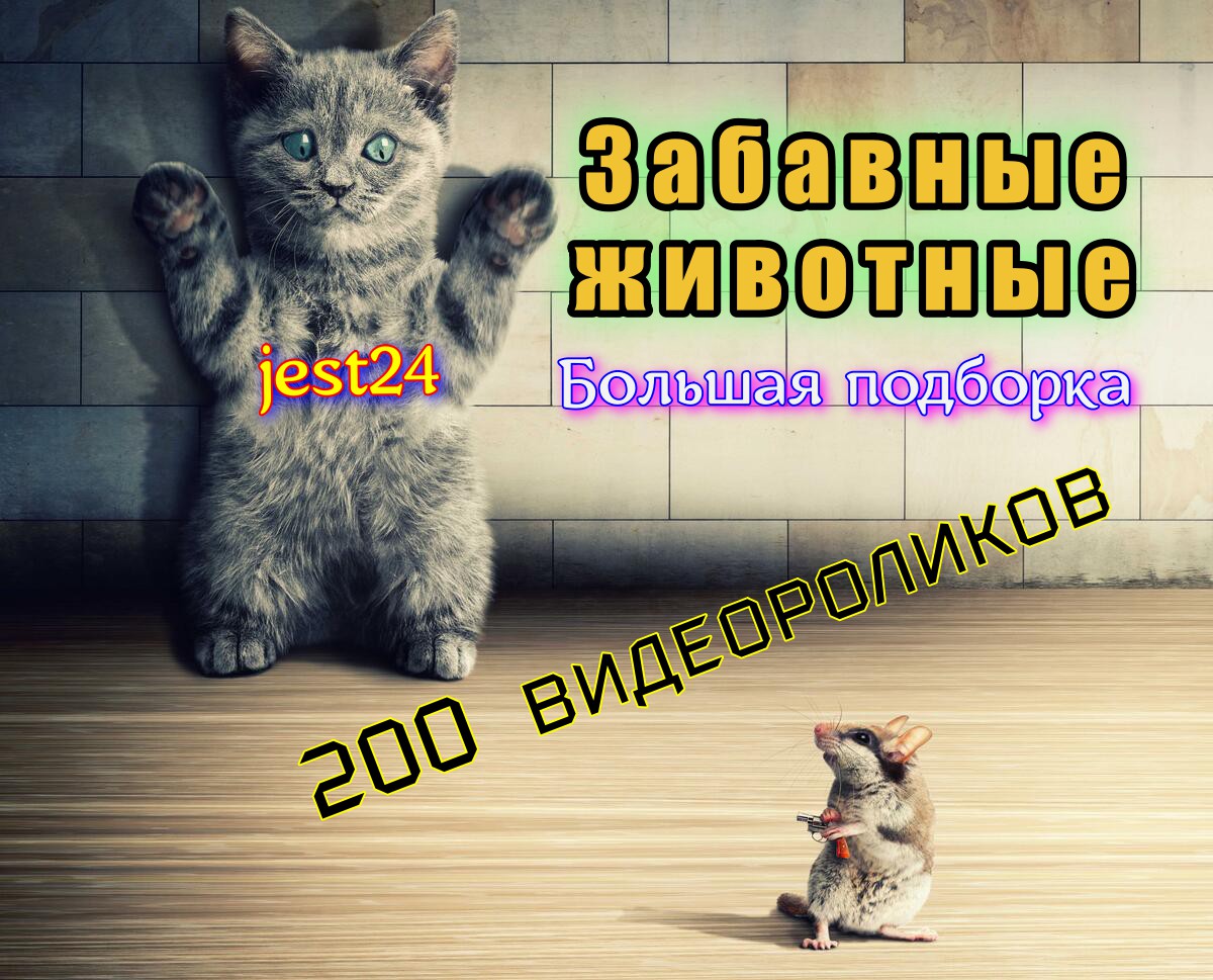видео больше не будет. сиреноголовый в рельой жизни. почему видео нету. видео больше не будет. превью для ролика.
