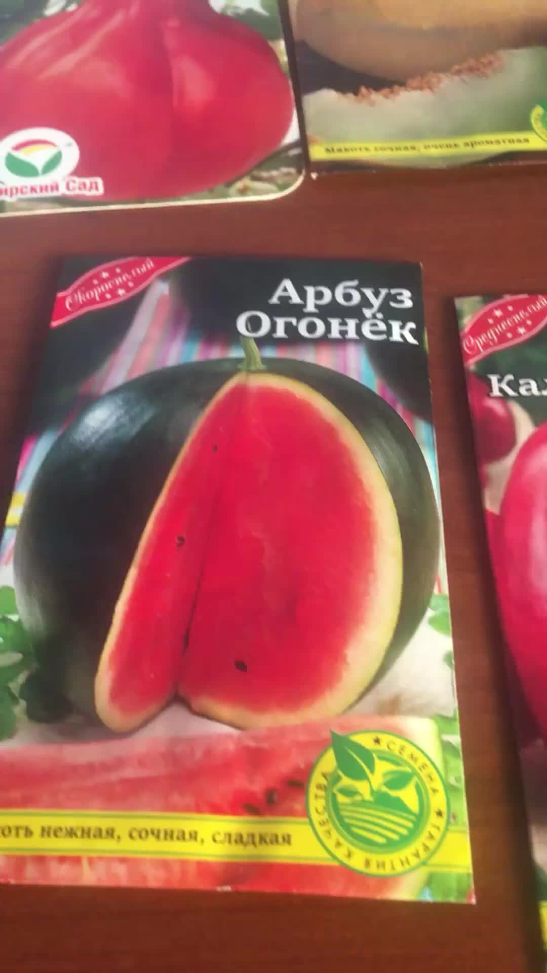 Девушка в лодочках. Девушка в лодочках. Идти по жизни с высоко поднятой головой. Высоко поднятая голова. Идти с высоко поднятой головой.