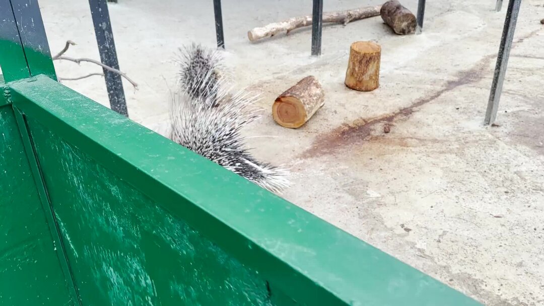 Футболка даша всегда права. Таня и настя. Маша самая лучшая. Девушка по имени настя. Настя таня мем.