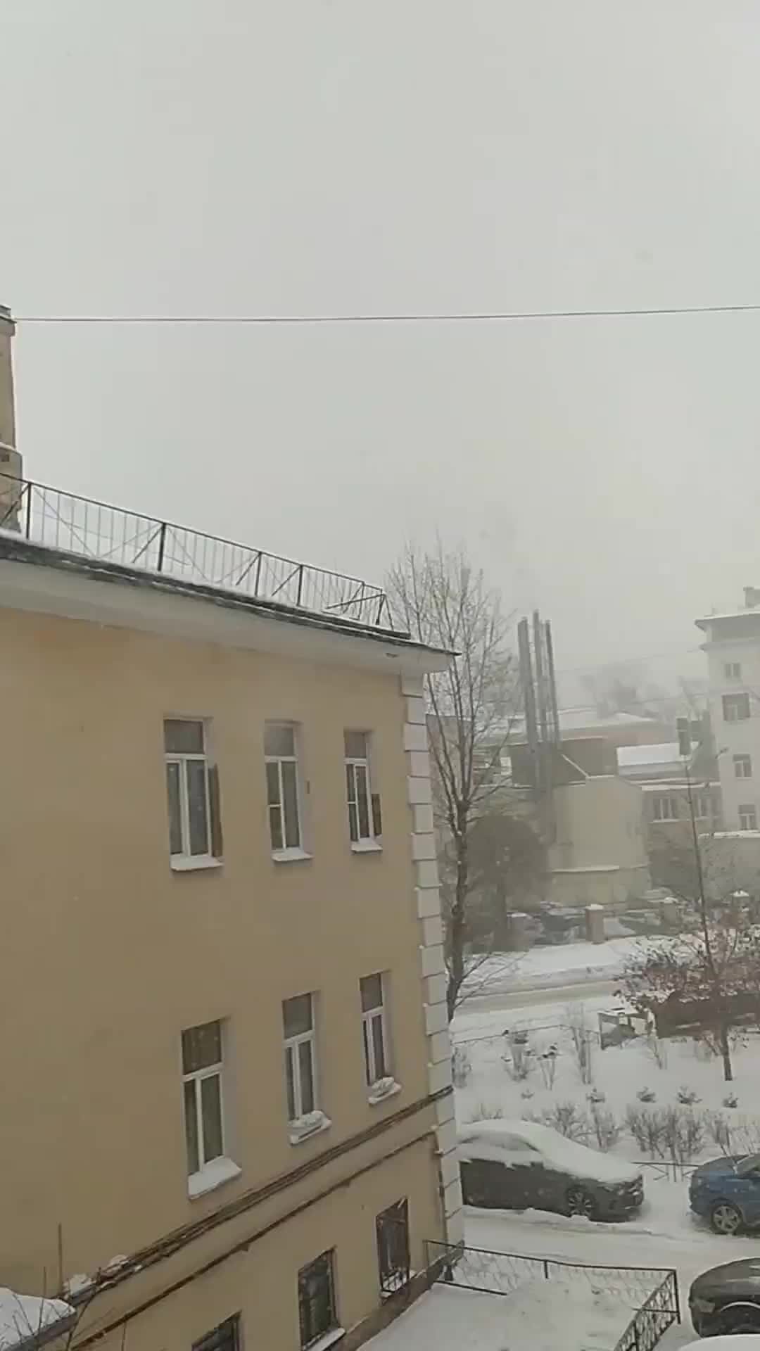 музыкальная сказка щелкунчик. волшебный лес. музыкальная сказка в лесу после банкета. алиса в стране чудес чаепитие в лесу. сказка фестиваль электронной музыки.