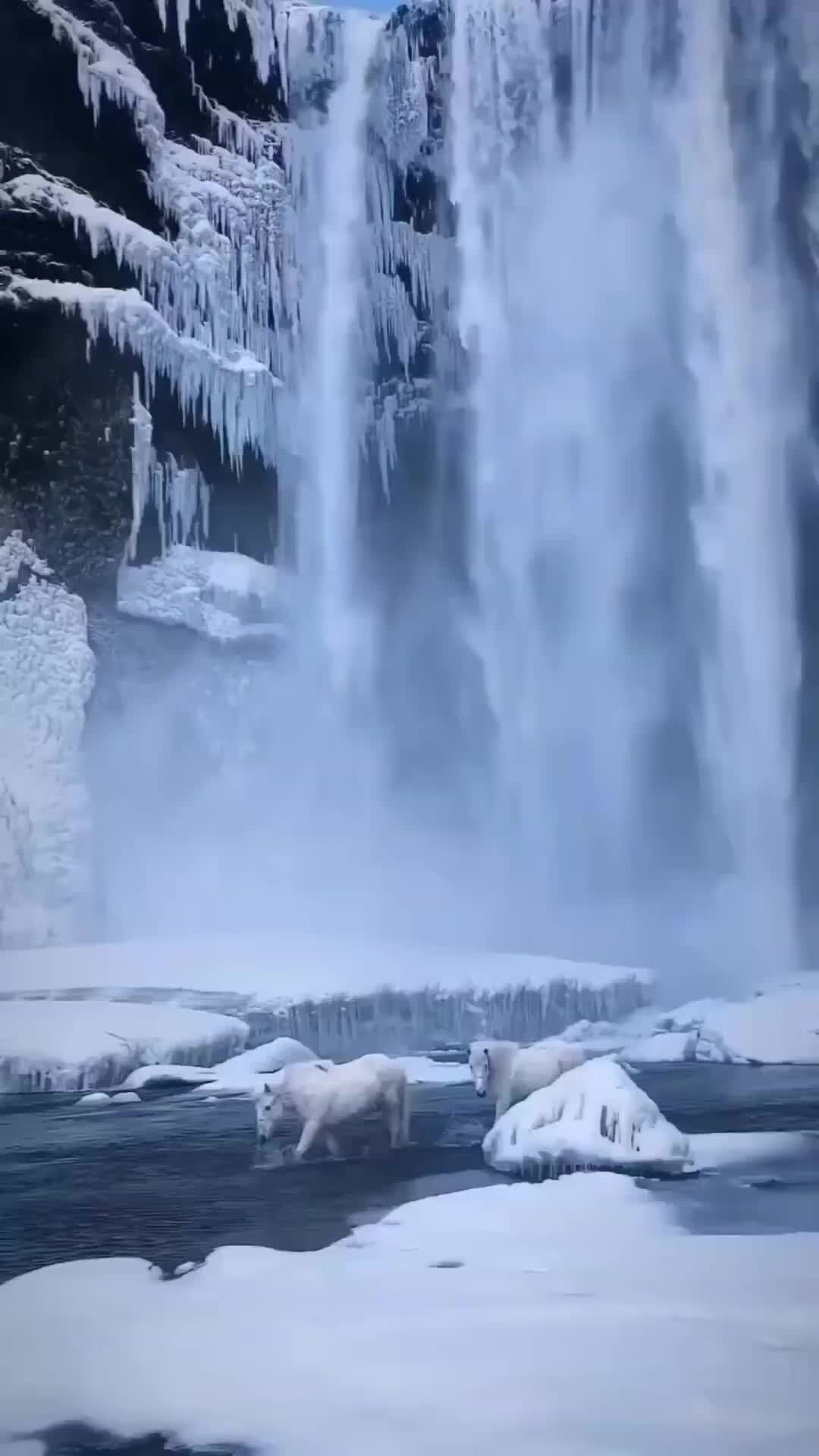 Водопад зимой фото