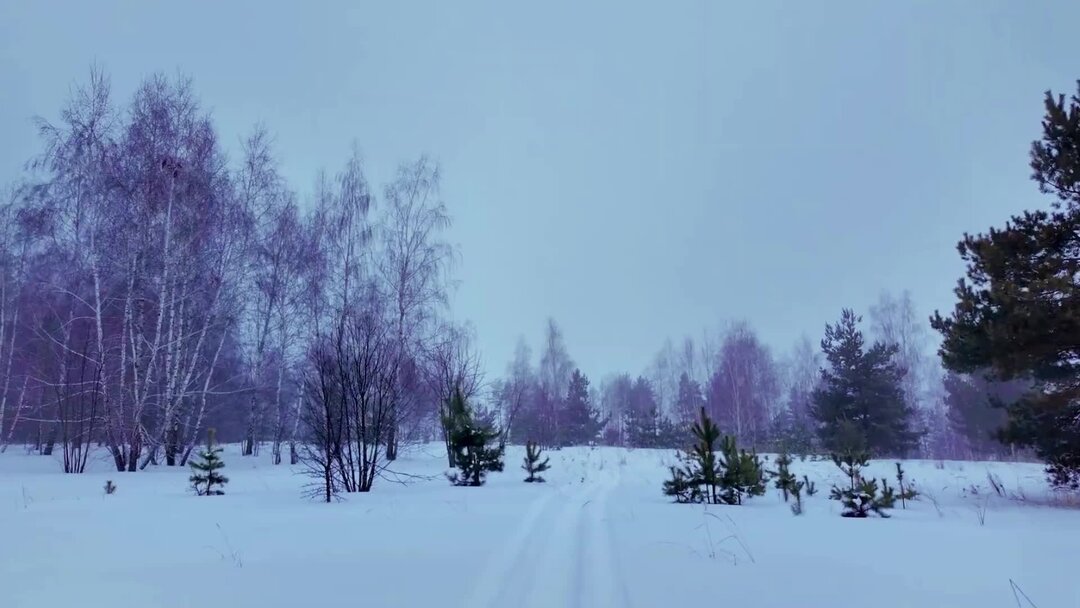 Мороз сугробы гололед зима идет. Безопасность на дорогах зимой для дошкольников. Мороз сугробы гололед зима идет. Мороз снежком укутывал картинки. Гололед.