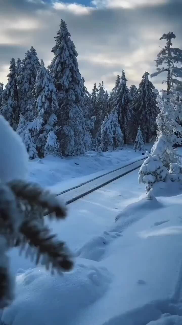 Где теперь живет