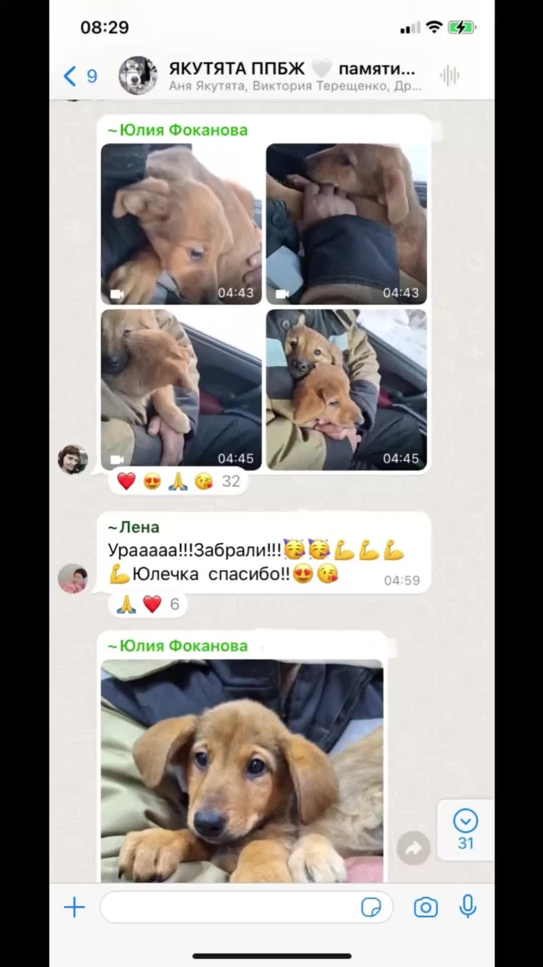 Якутята ппбж. Якутята ппбж. Якутята ппбж. Якутята ппбж. Якутята ппбж.