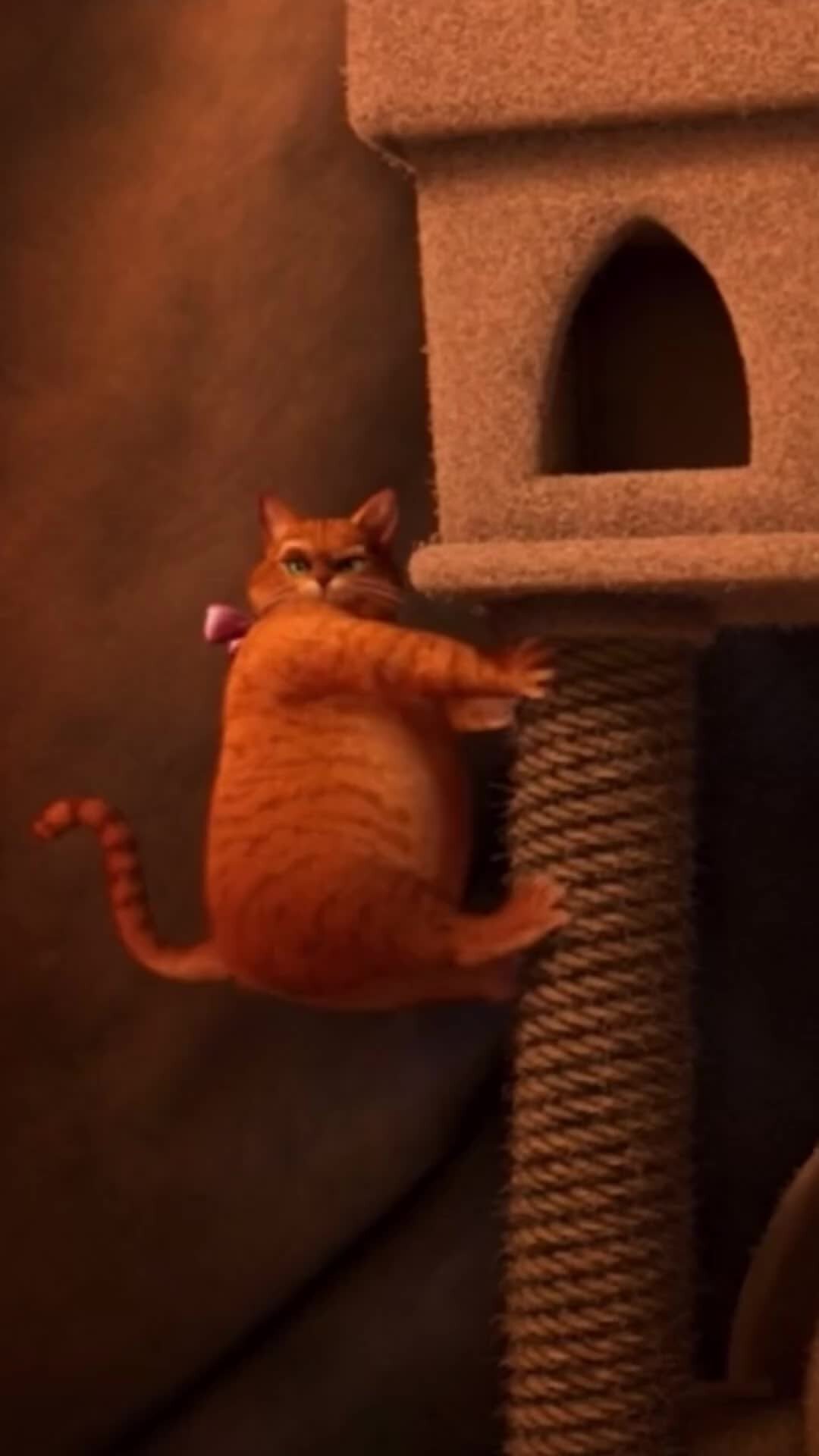 Кот из шрека толстый