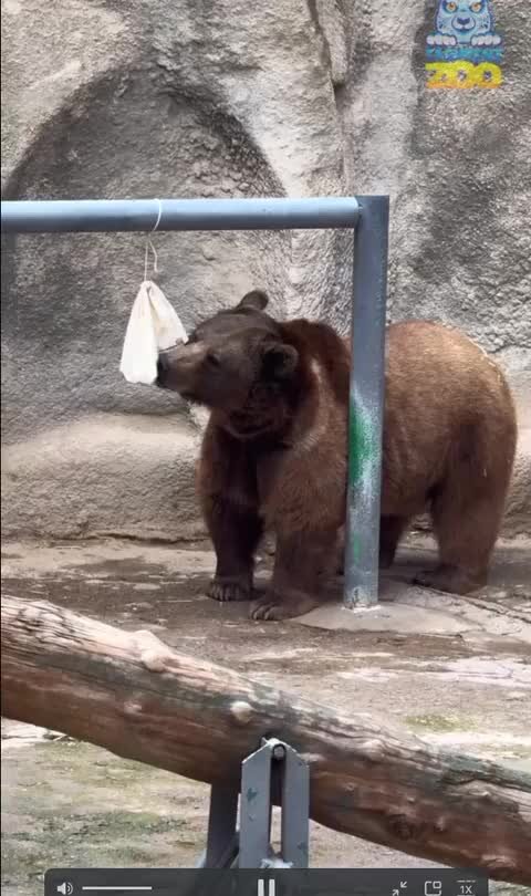 Зоопарк на баррикадной. Зоопарк центр. Зоопарк центр. Zoopark moscow zoo московский зоопарк. Зоопарк центр.