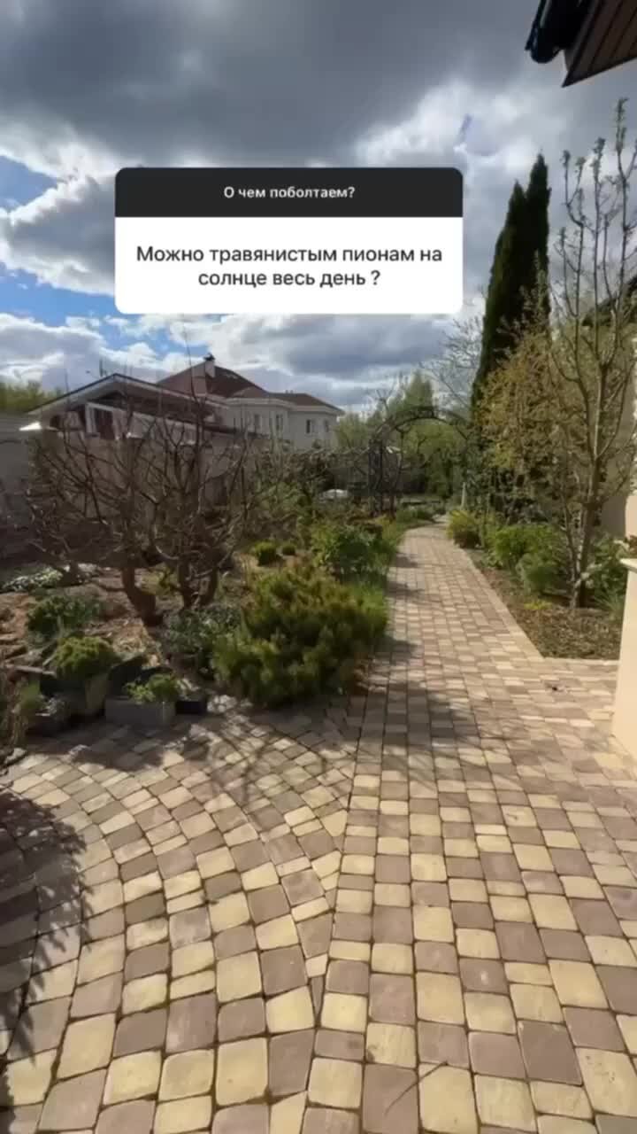 Как смешно ответить на вопрос что делаешь. Как спросить чем занимаешься оригинально. Привет чем занимаешься. Какответить на вопррс чем звнимаешся. Чем заняться.