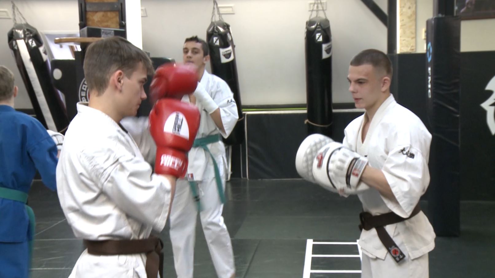 стиль винь чунь. джиу-джитсу боевые искусства. тренировка карате. шаолинь карате. айкидо юки чигая.