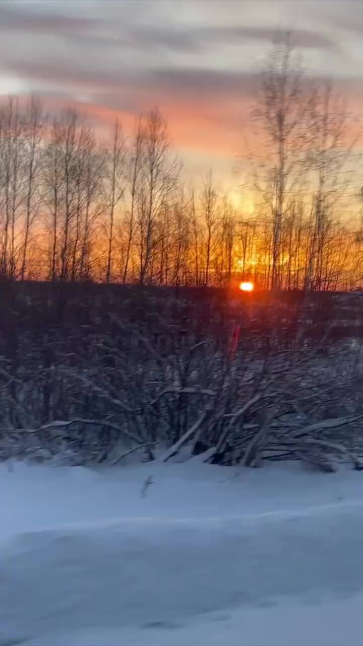 Море тайги песня. Аляскинская тайга. Тайга хакасии. Зеленое море тайги песня. Зелёное море леса.