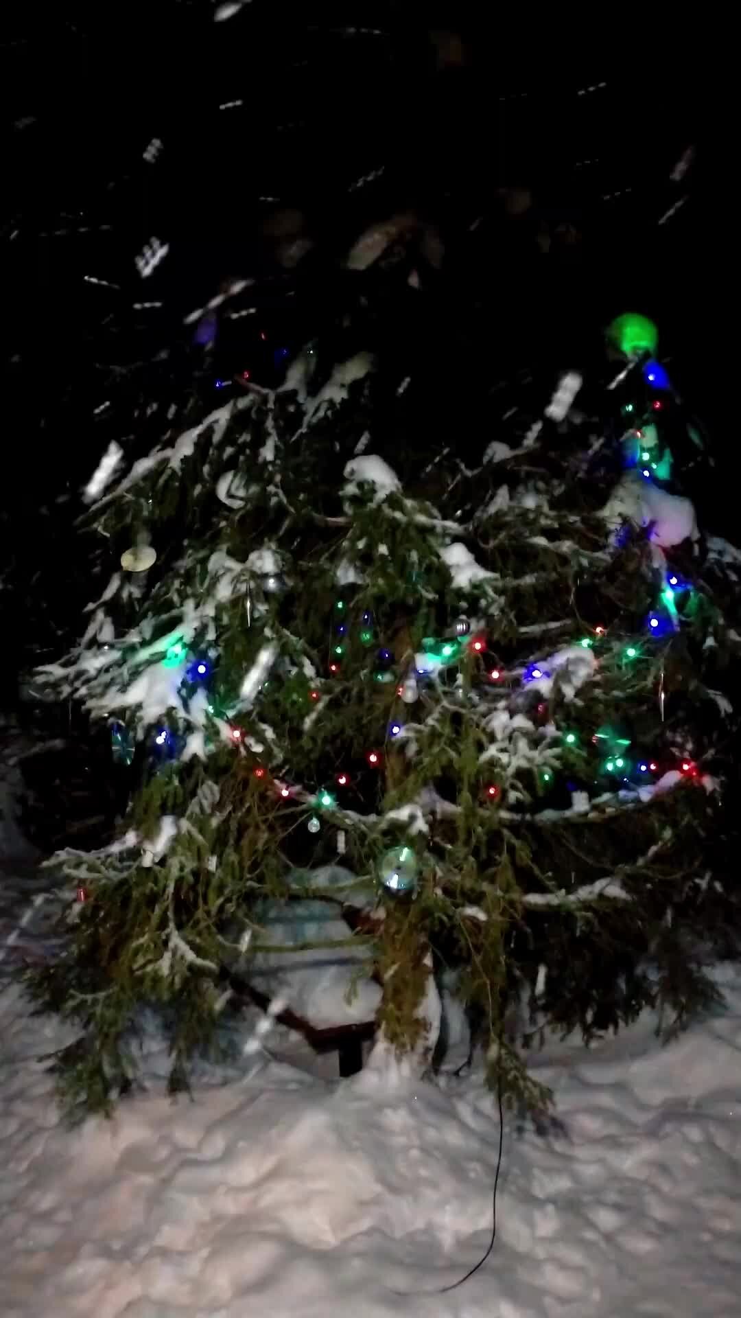 а у нас снег идет. котоматрица весна- пришла. афоризмы про снег смешные. опять снег пошел. шутки про снег весной.