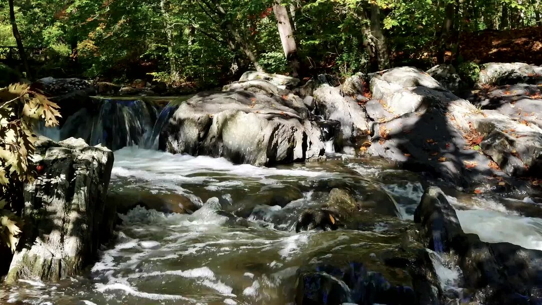 успокаивающая музыка звуки. человек и природа. женщина в наушниках. релаксация для сна. расслабление природа.