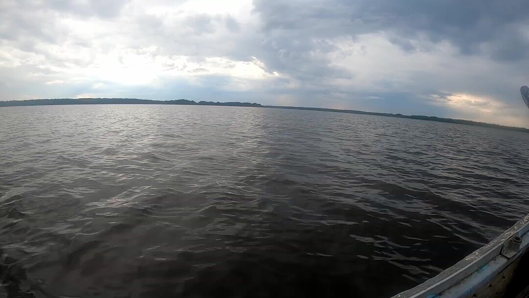 1 и 1. 0 31 1. 00. мч00. 00.