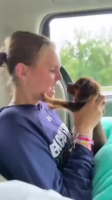 Бух баланс форма 1. Вызов баланс первых. Скрин баланса на телефоне. Составление баланса актива и пассива. Вызов баланс первых.