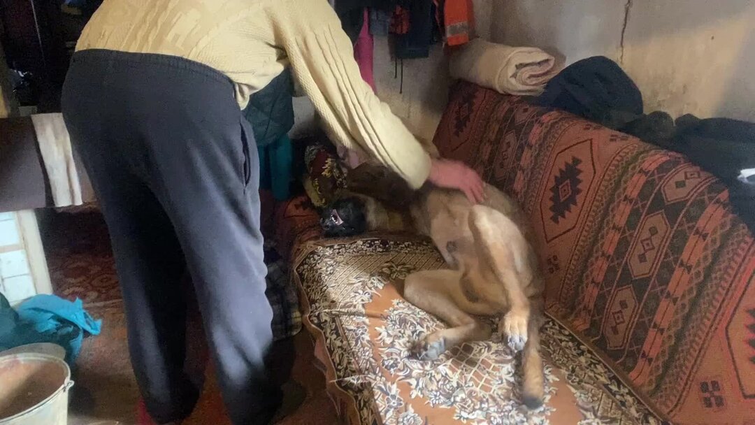 введение инъекций внутримышечно. медуза необходима укол за уколом. внутримышечная инъекция. клаксон уколы в живот. медуза необходима укол за уколом.