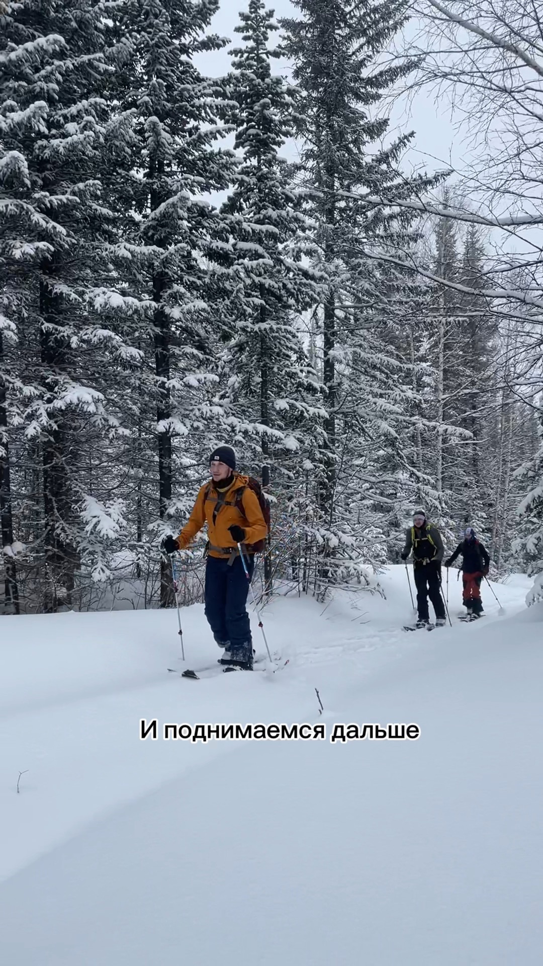 Ледник на высоте 1200 метров