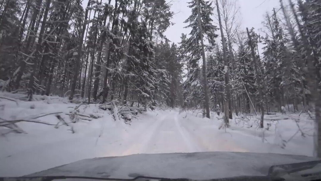 Бабушка можно к тебе приехать пожить 20