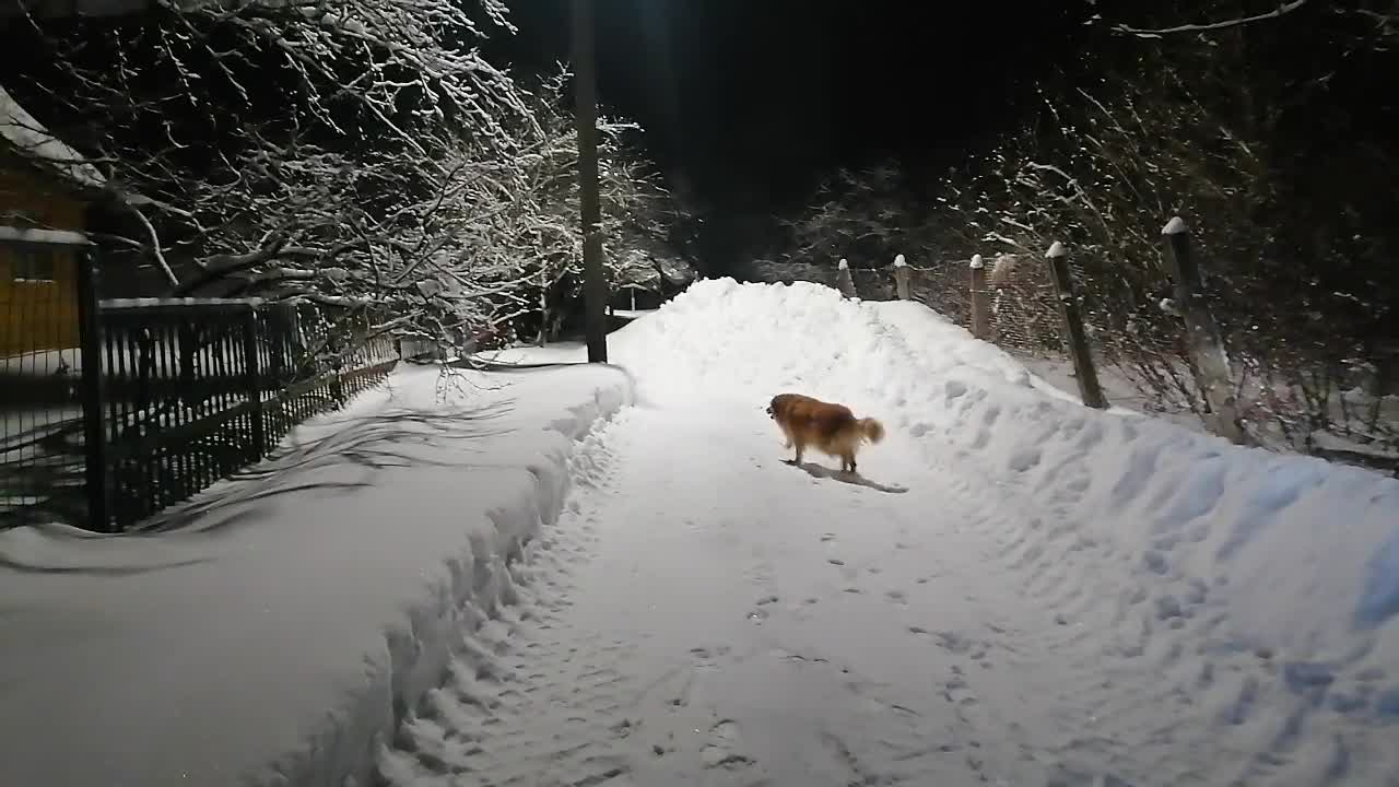 Пора домой картинки прикольные смешные. Домой пора домой. Игра пора домой. Пора домой. Домой пора домой.