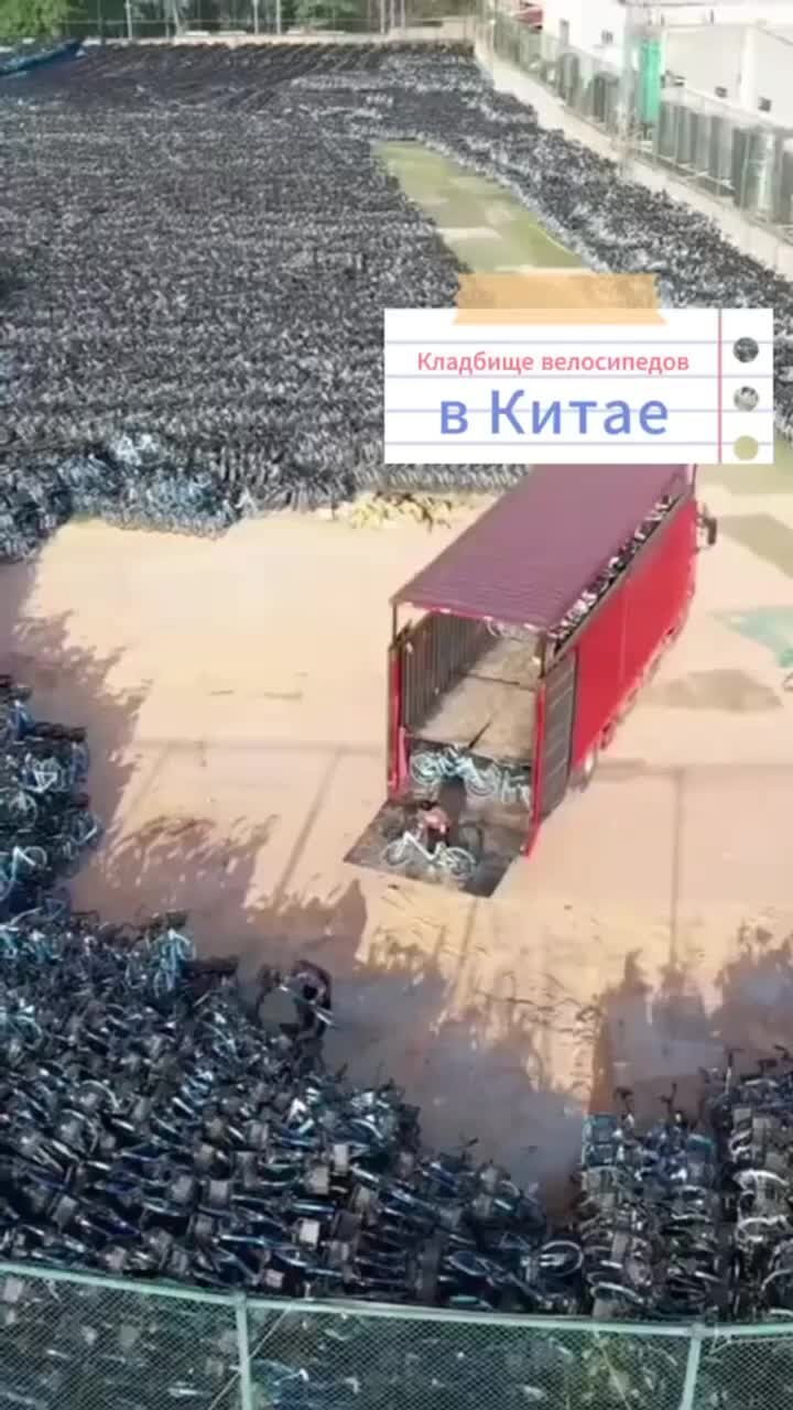 Кладбище велосипедов в Китае