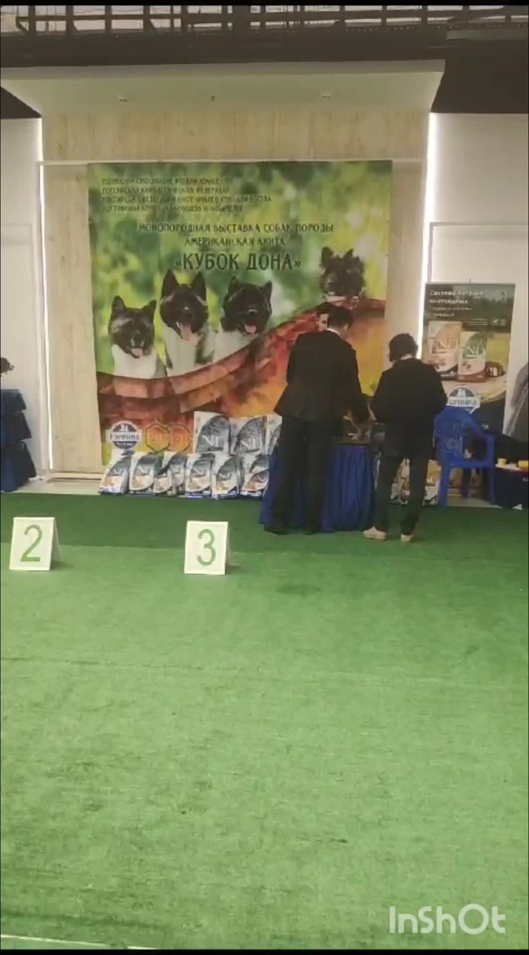 План выставок Сиба-ину на 2020 год