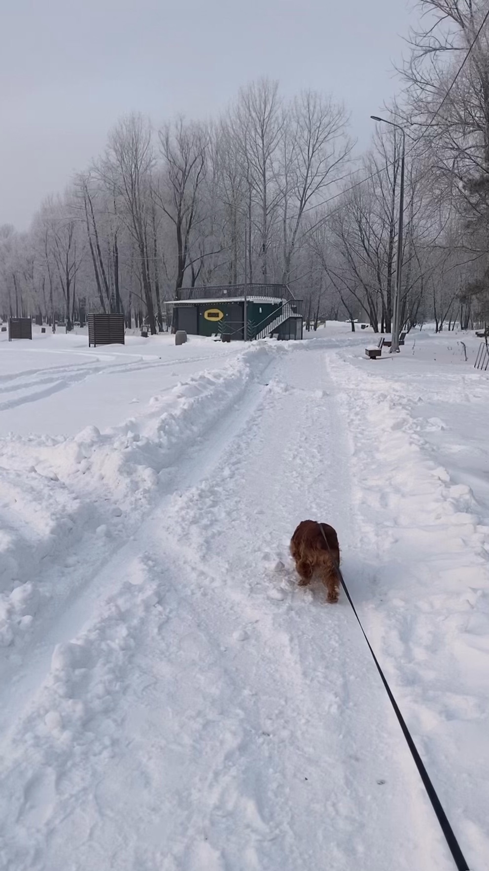 У природы нет плохой погоды прикол