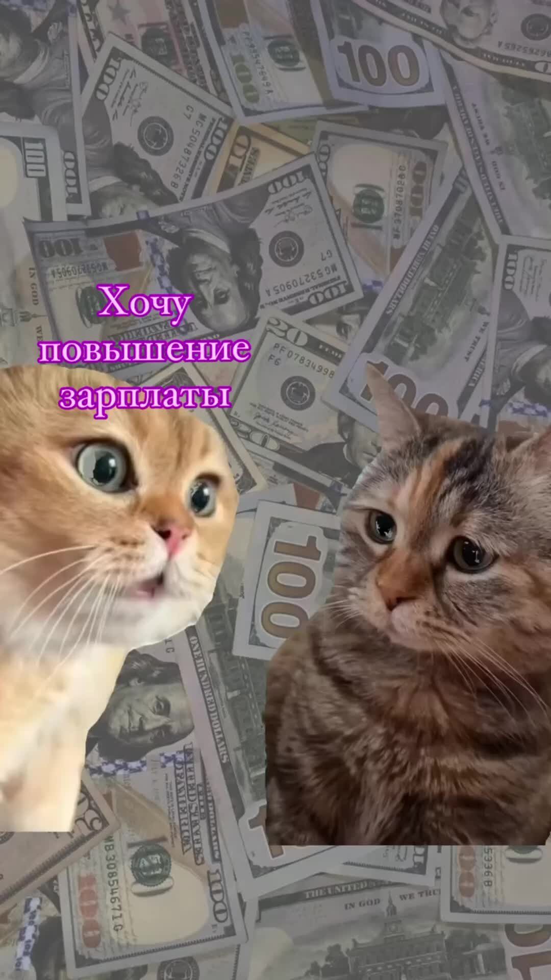 Можно ли попросить