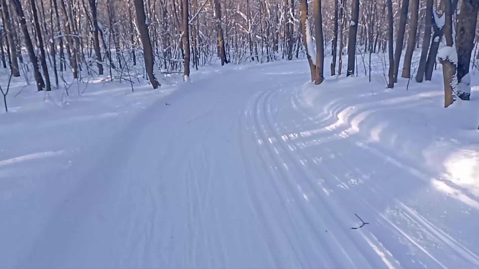 Жигулевск трасса