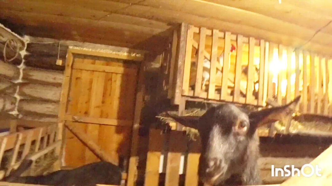 Порезать футболку красиво. Разрезала платье. Ножницы режут ткань. Портной. На девушке разрезали одежду.