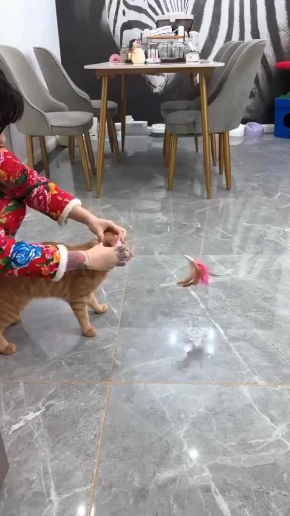 милый кот. мягкая игрушка зайка ми черничка 32 см. мягкая игрушка budi basa зайка ми большой в пижаме "зайка" 34 см. мягкая игрушка зайка ми роззи 25 см. зайка ми и кот басик рф.