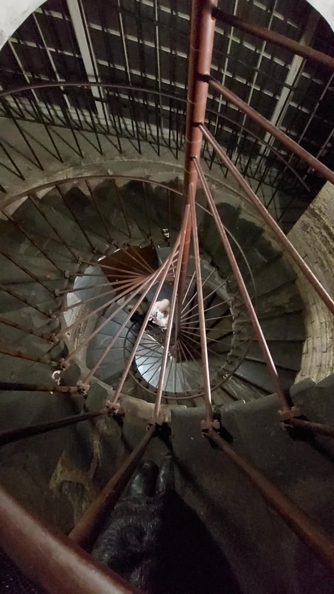 время в колоннаду. колоннада исаакиевского собора. время в колоннаду. время в колоннаду. колоннады на площади святого петра бернини.