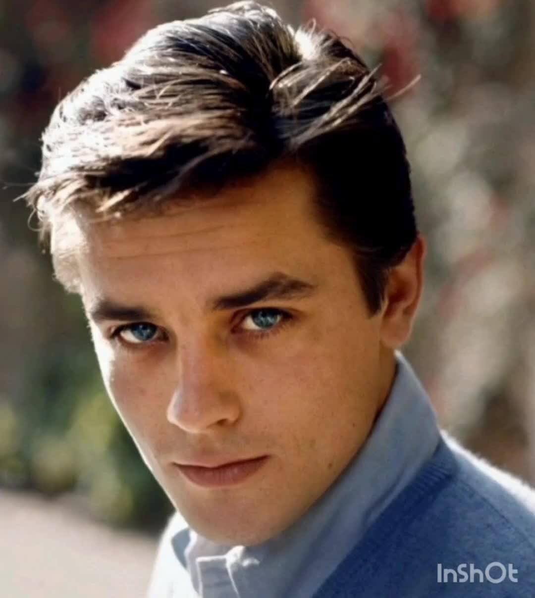 Ален делон и йен сомерхолдер